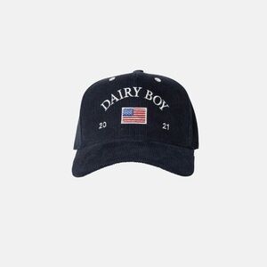 Dairy Boy navy hat with American flag